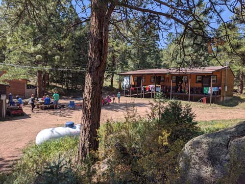 Pines1 (8)